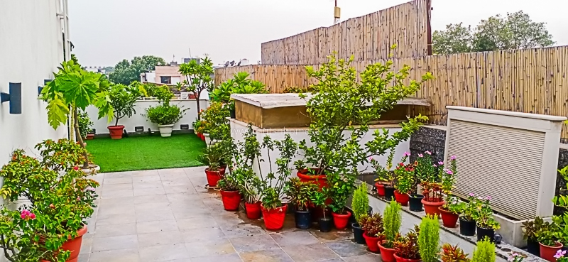 3 BHK Builder Floor For Rent in Safdarjung Development Area