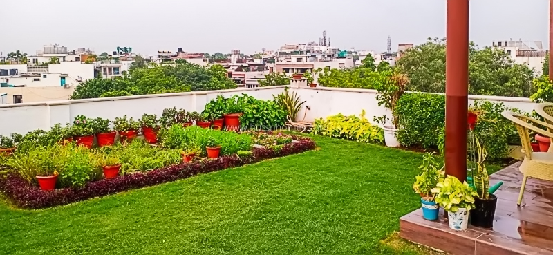 3 BHK Builder Floor For Rent in Safdarjung Development Area