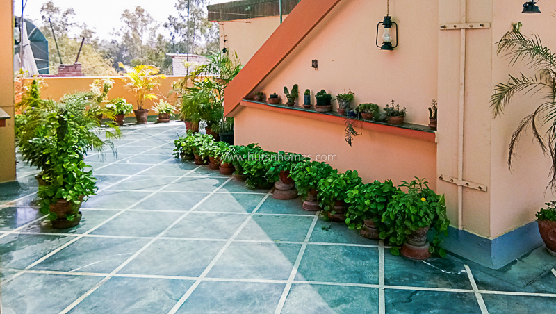 3 BHK Flat For Rent in Defence Colony