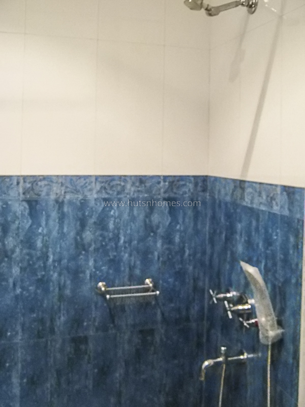 4 BHK Flat For Rent in Vasant Vihar