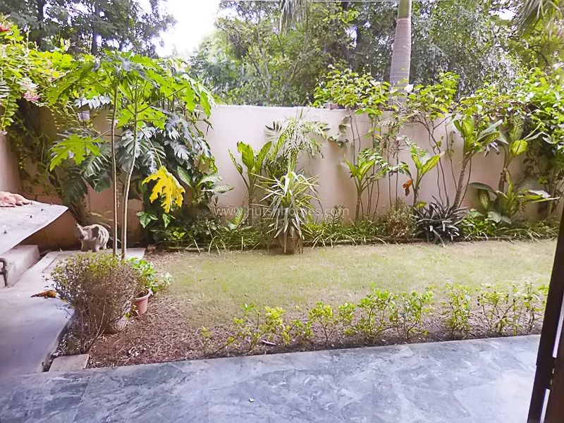 3 BHK Flat For Rent in Defence Colony