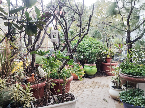 5 BHK House For Rent in Vasant Kunj