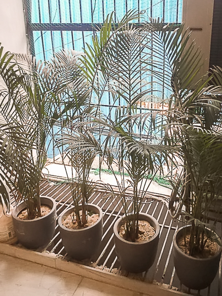 3 BHK Flat For Rent in Anand Niketan