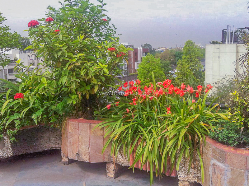 4 BHK Flat For Rent in Panchsheel Park