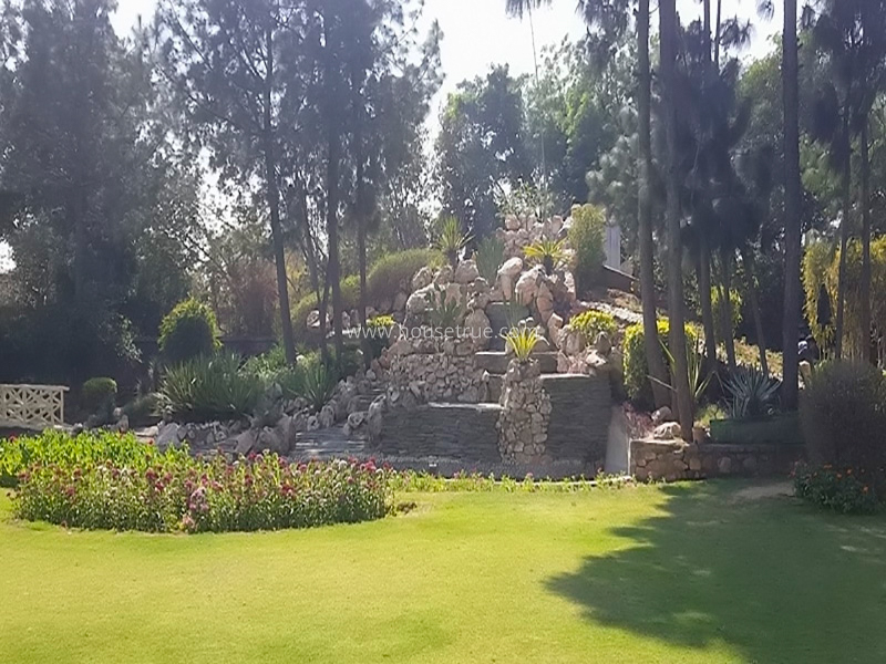 5 BHK Farm House For Rent in Vasant Kunj