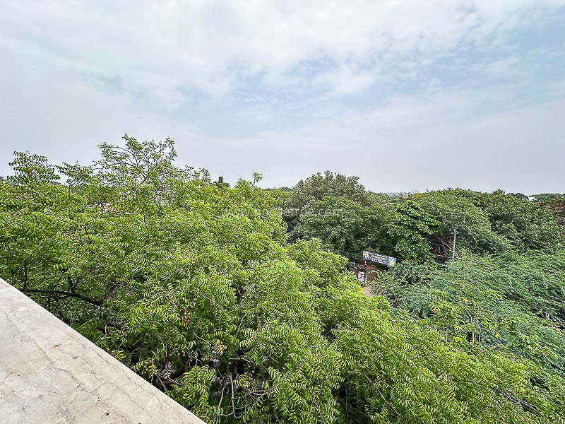 5 BHK Flat For Rent in Panchsheel Park
