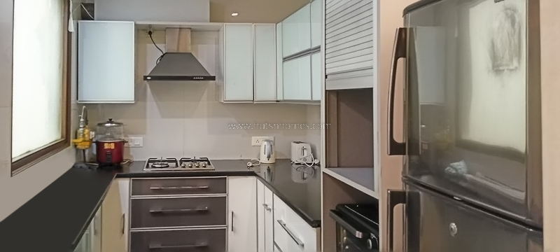 3 BHK Builder Floor For Rent in Defence Colony