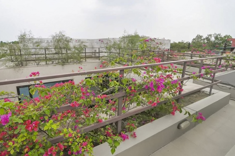 3 BHK Penthouse For Sale in Jangpura Extension