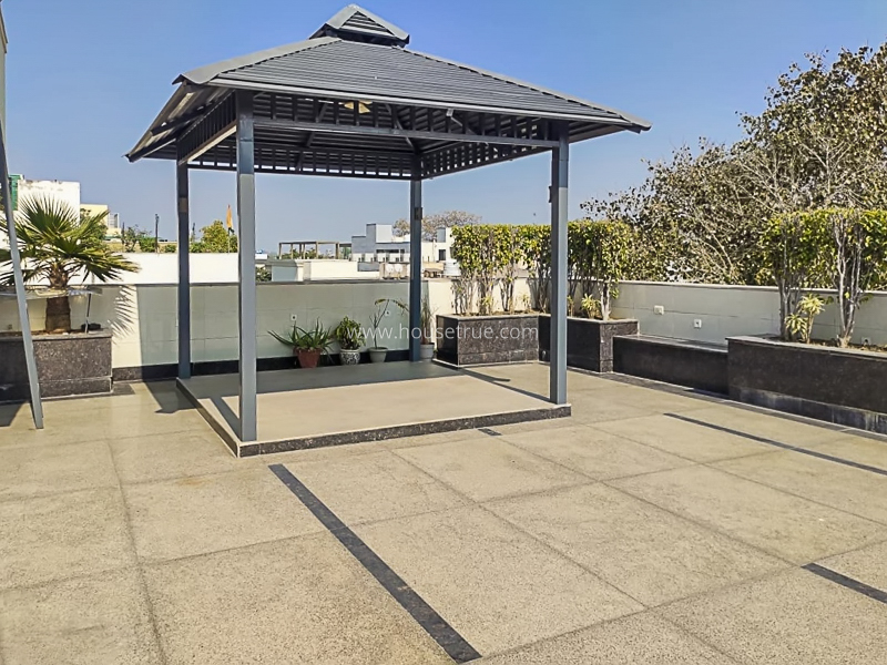 3 BHK Builder Floor For Rent in Vasant Vihar