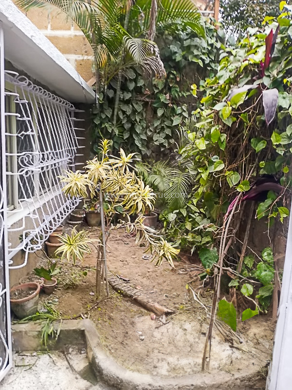 4 BHK House For Rent in Panchsheel Park