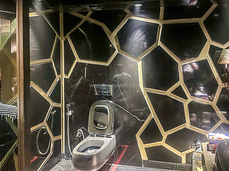 4 BHK Duplex For Rent in Vasant Vihar