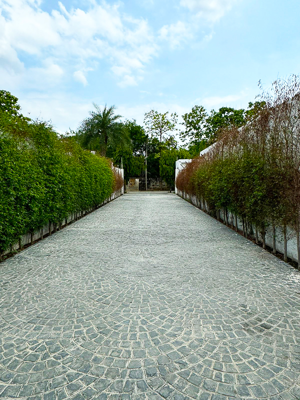 5 BHK Farm House For Rent in Radhey Mohan Drive
