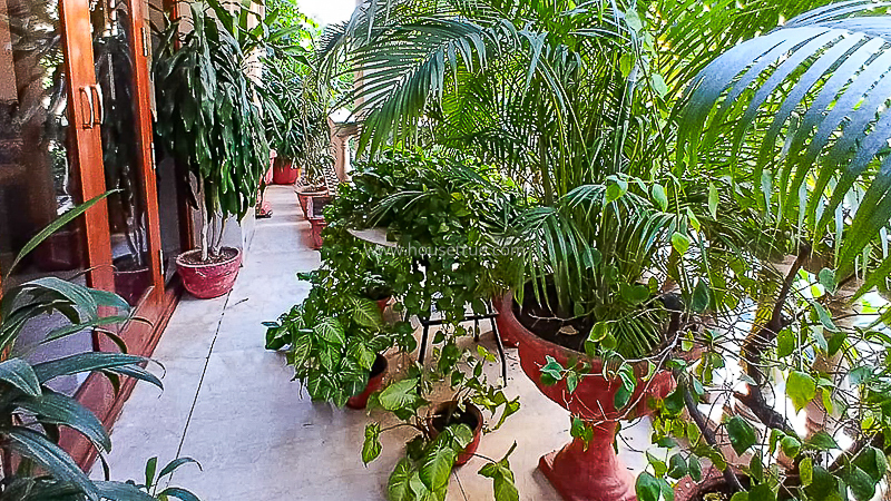 2 BHK Flat For Rent in Defence Colony