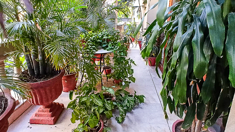 2 BHK Flat For Rent in Defence Colony