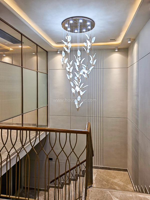 4 BHK Builder Floor For Rent in Hauz Khas