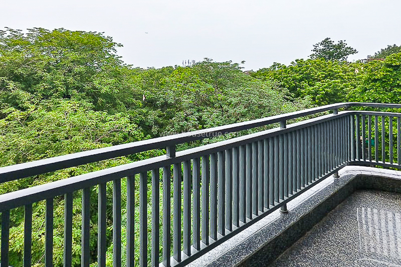 3 BHK Builder Floor For Rent in Sarvapriya Vihar