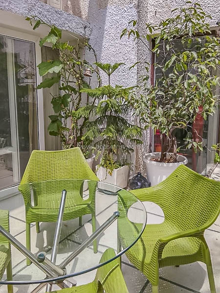 1 BHK Flat For Rent in Vasant Vihar