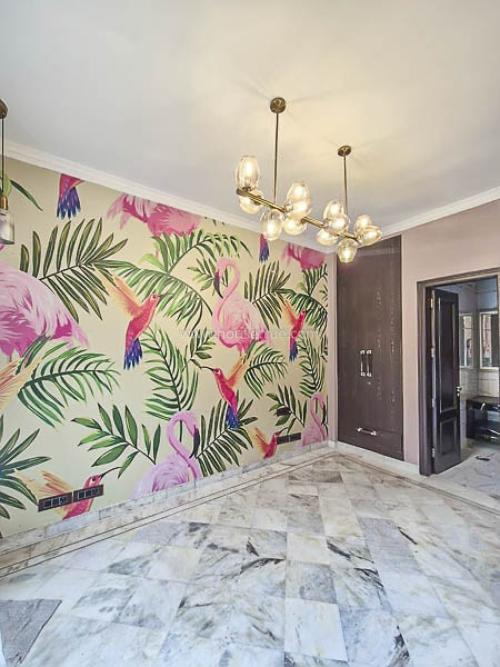 3 BHK Flat For Rent in Defence Colony