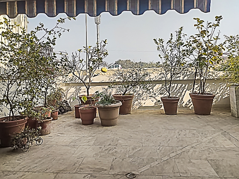 3 BHK Flat For Rent in Vasant Vihar