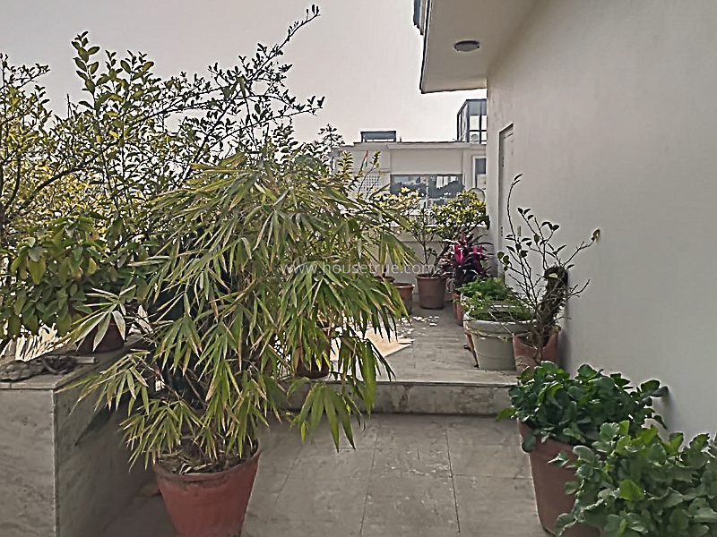 3 BHK Flat For Rent in Vasant Vihar
