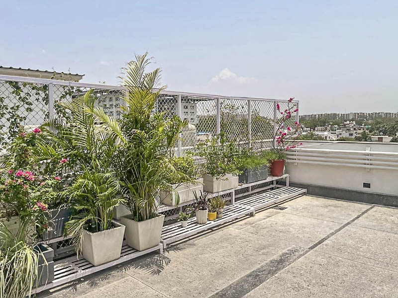 3 BHK Builder Floor For Rent in Jor Bagh