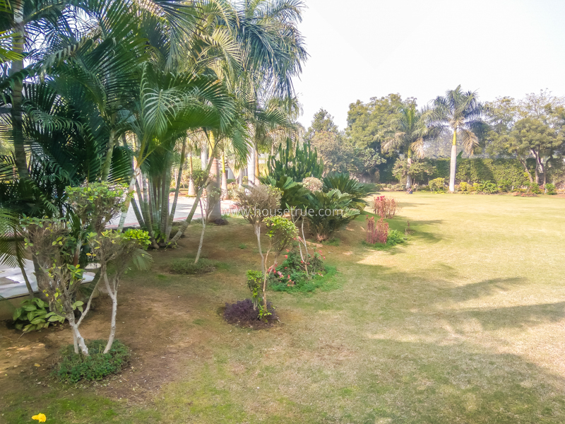 4 BHK Farm House For Rent in Dlf Chattarpur Farms