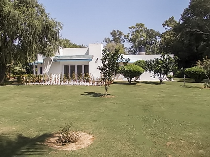 3 BHK Farm House For Rent in Dlf Chattarpur Farms