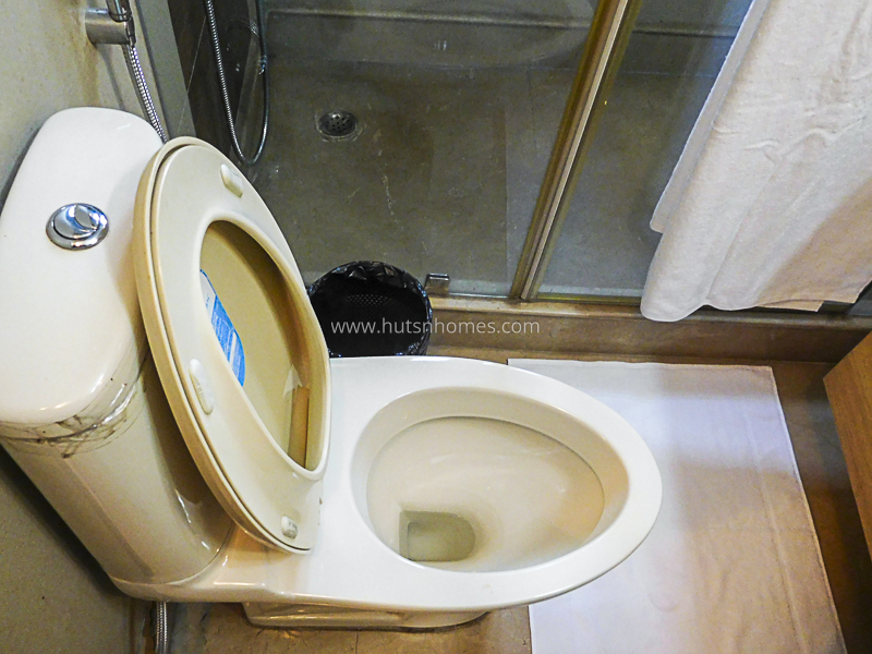 3 BHK Flat For Rent in Defence Colony