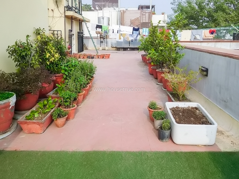 3 BHK Flat For Rent in Anand Niketan