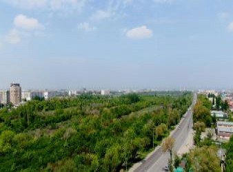Premium South Delhi neighborhood in 2025 with luxury homes and affluent residents